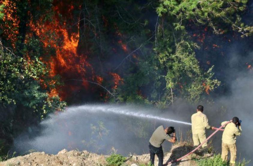 Son dakika haberi... Hataydaki orman yangını kontrol altına alındı Çok ciddi kasıt şüpheleri ortaya çıktı
