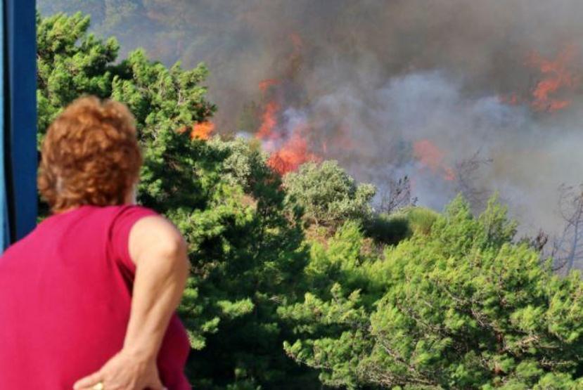 Son dakika haberi... Hataydaki orman yangını kontrol altına alındı Çok ciddi kasıt şüpheleri ortaya çıktı