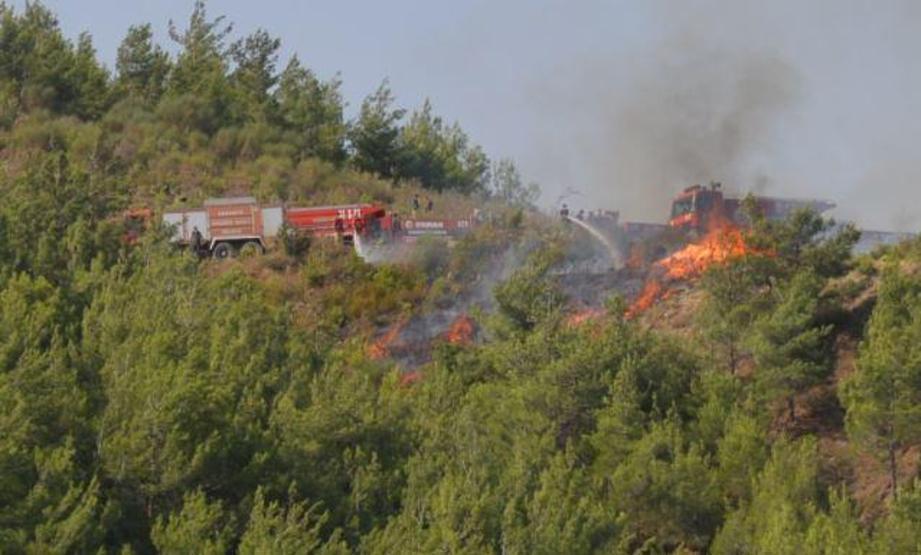 Son dakika haberi... Hataydaki orman yangını kontrol altına alındı Çok ciddi kasıt şüpheleri ortaya çıktı