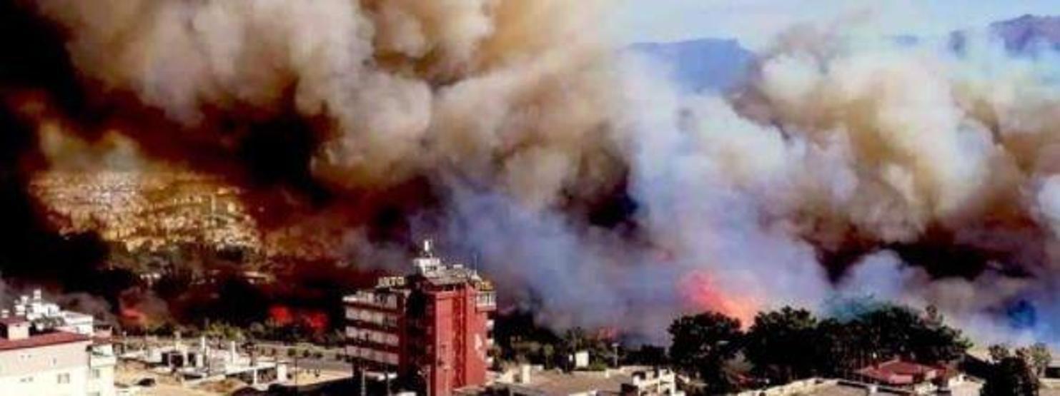 Son dakika haberi... Hataydaki orman yangını kontrol altına alındı Çok ciddi kasıt şüpheleri ortaya çıktı