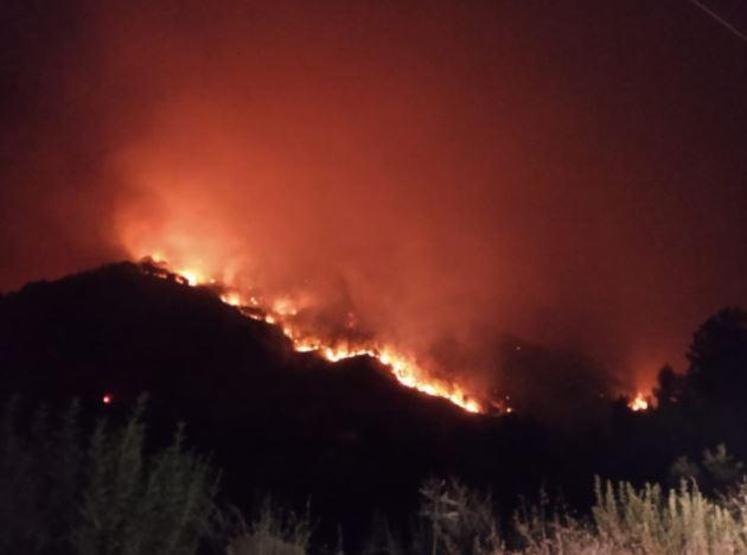 Son dakika haberi... Hataydaki orman yangını kontrol altına alındı Çok ciddi kasıt şüpheleri ortaya çıktı