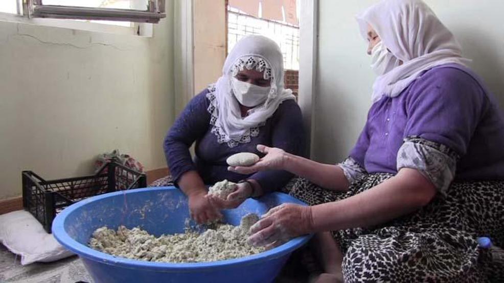Tansiyon, şeker ve kalbe iyi geliyor Yöre halkının geçim kaynağı oldu