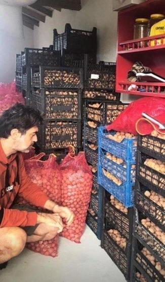 Burak Hakkı ceviz hasadına başladı