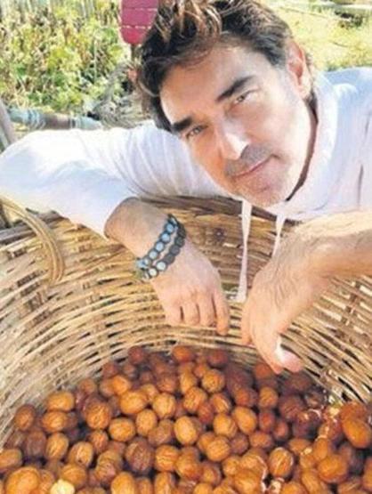Burak Hakkı ceviz hasadına başladı