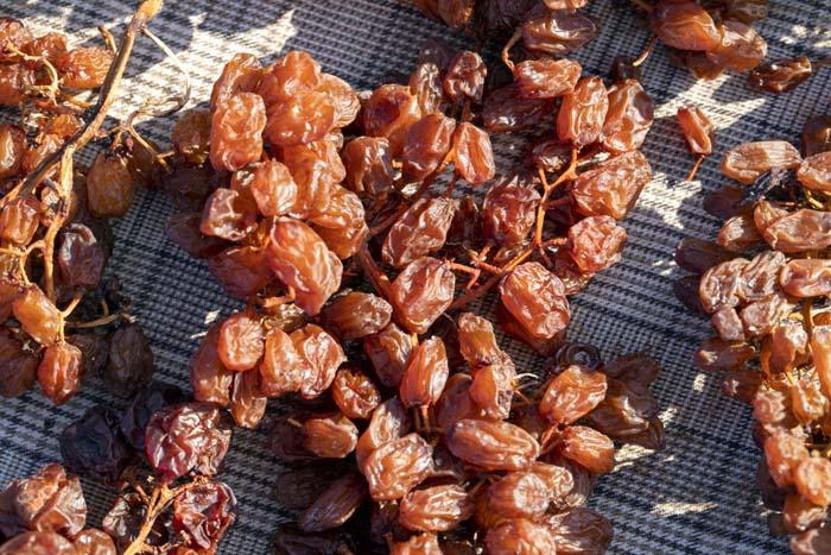 Vitamin ve mineral deposu Kansızlığa karşı bire bir
