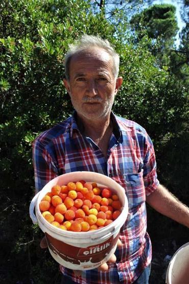 Doğada kendiliğinden yetişiyor Sağlığa faydası o kadar çok ki...