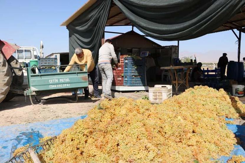 Unutulmaya yüz tutan yöresel lezzeti yaptılar Yurt dışından bile talep var