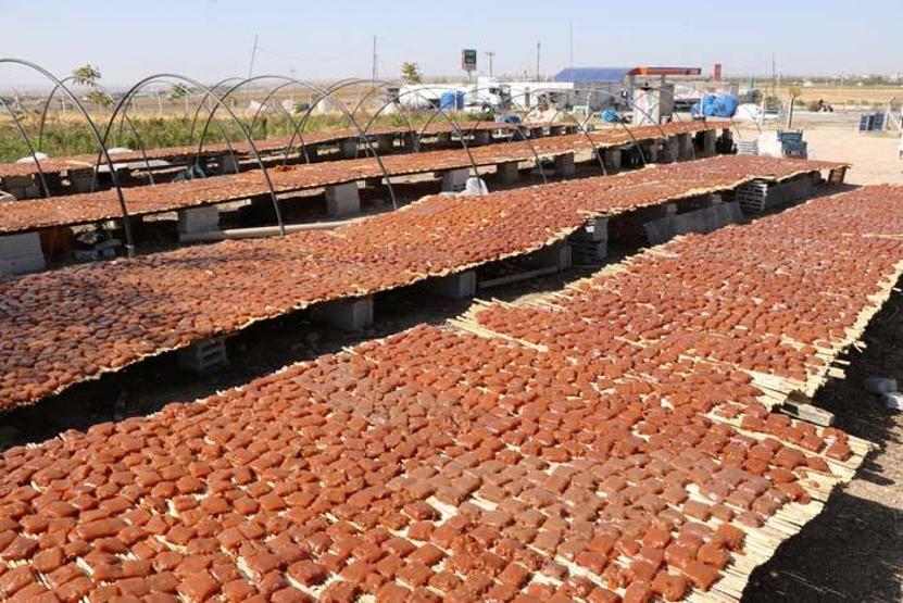 Unutulmaya yüz tutan yöresel lezzeti yaptılar Yurt dışından bile talep var