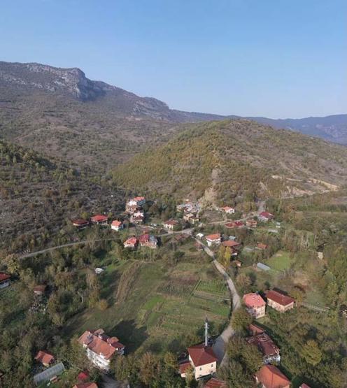 Küre Dağları Milli Parkında sonbahar güzelliği