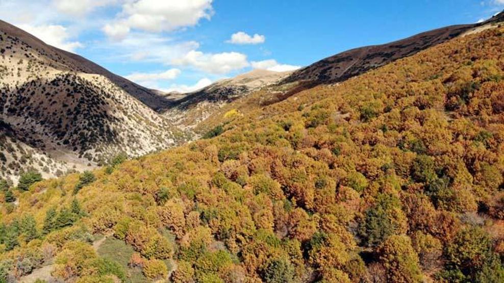 Doğa ve fotoğraf tutkunlarının Karadenizdeki ilk adresi