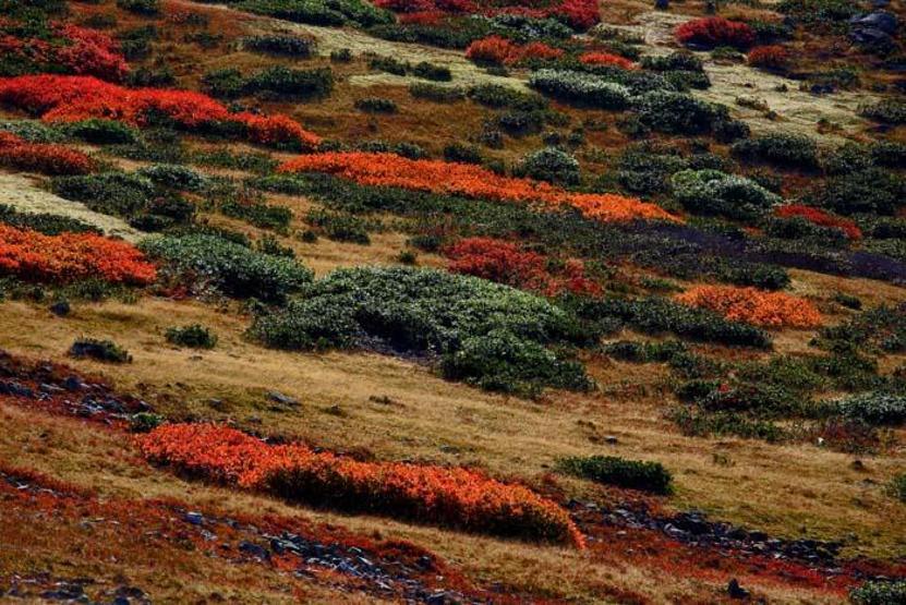 Doğa ve fotoğraf tutkunlarının Karadenizdeki ilk adresi