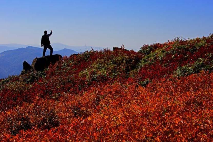 Doğa ve fotoğraf tutkunlarının Karadenizdeki ilk adresi
