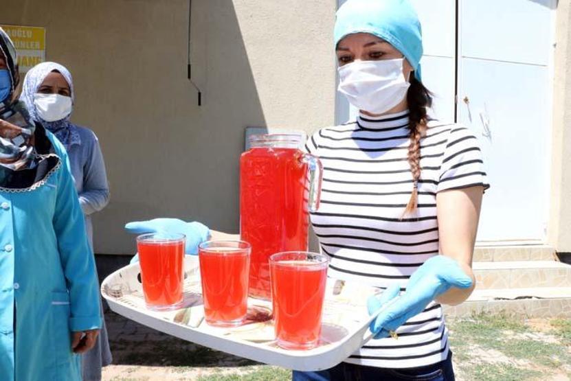 Böbrek taşı ve böbrek kumu sorunlarına karşı birebir Doğada kendiliğinden yetişiyor
