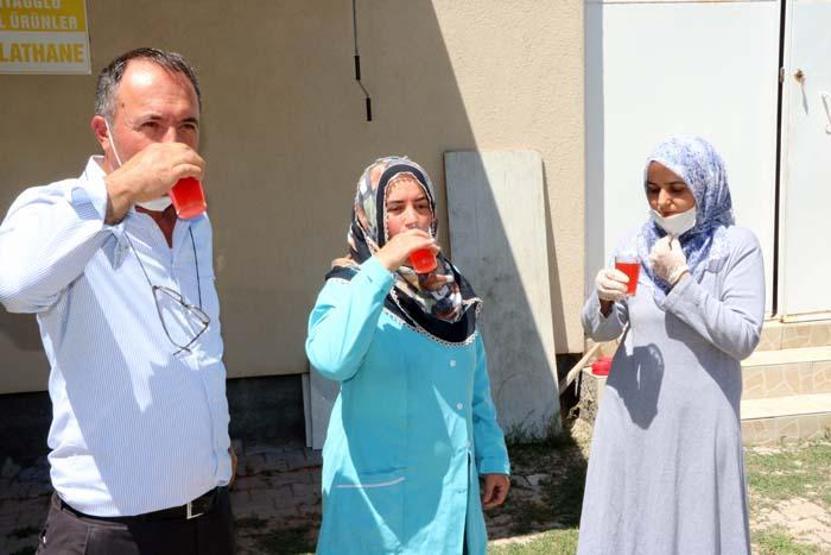 Böbrek taşı ve böbrek kumu sorunlarına karşı birebir Doğada kendiliğinden yetişiyor