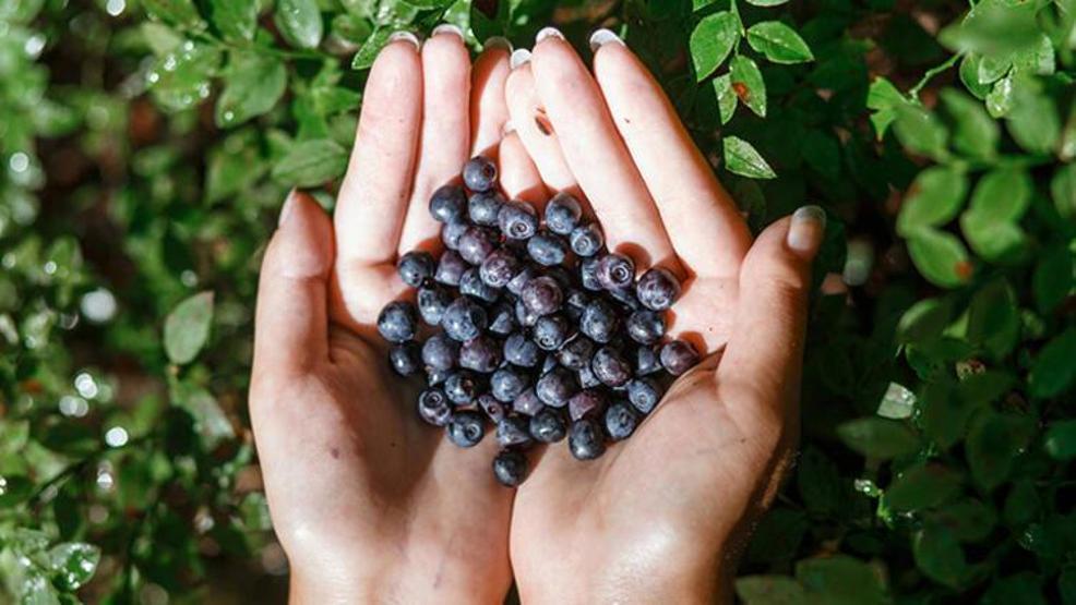 Parabenin zehri vücutta birikip kanser yapıyor