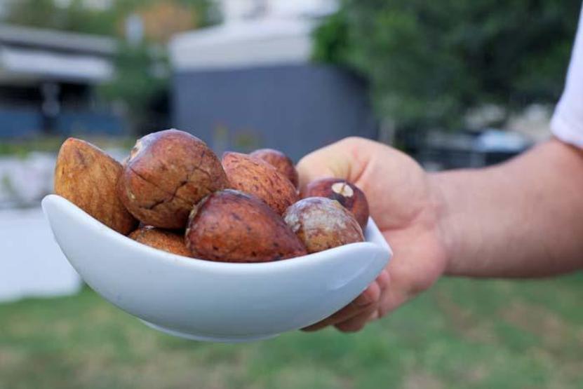 Avokado talebine yetişemeyen üreticiler, çekirdek toplamaya başladı
