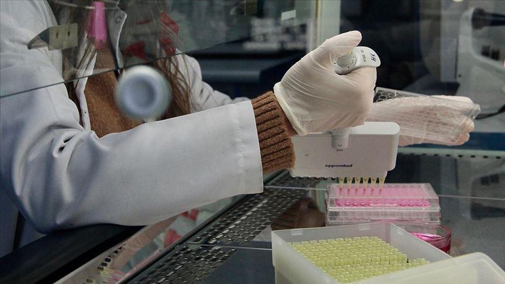 2021in ilk yarısında aşılar kullanılmaya başlanacak