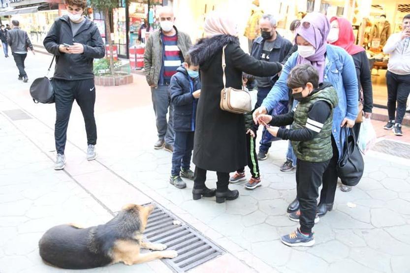 Mazgalı izleyen köpeğin sırrı ortaya çıktı