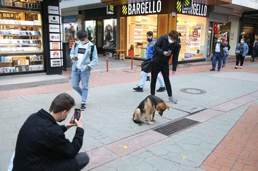 Mazgalı izleyen köpeğin sırrı ortaya çıktı