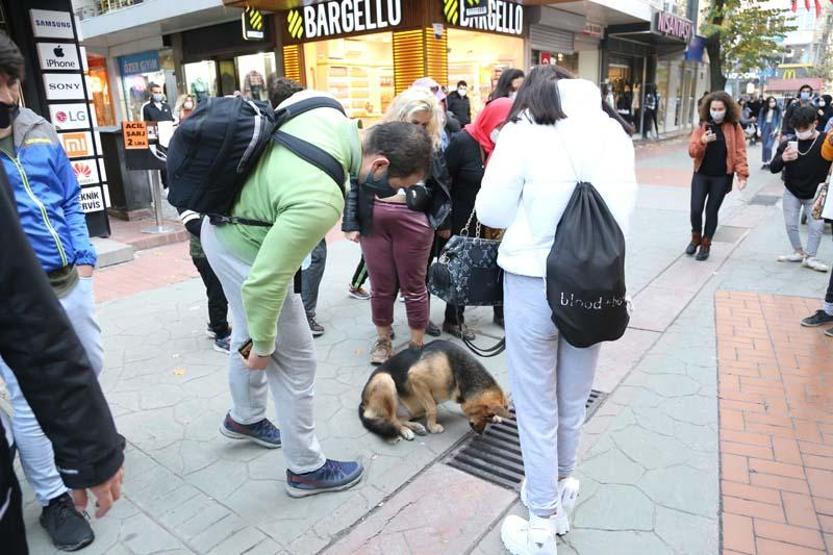 Mazgalı izleyen köpeğin sırrı ortaya çıktı
