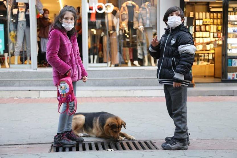 Mazgalı izleyen köpeğin sırrı ortaya çıktı