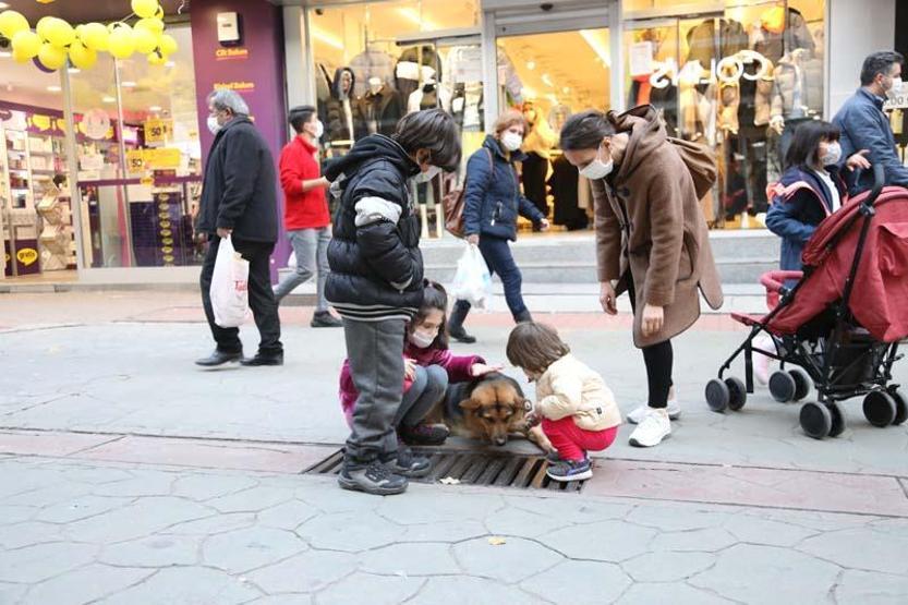 Mazgalı izleyen köpeğin sırrı ortaya çıktı
