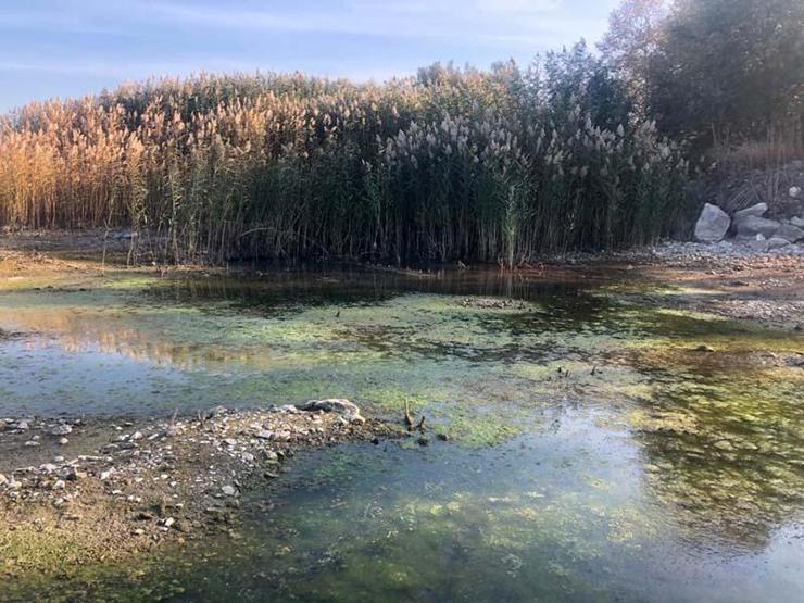 Eğirdir ve Beyşehirde dip suyu alarmı