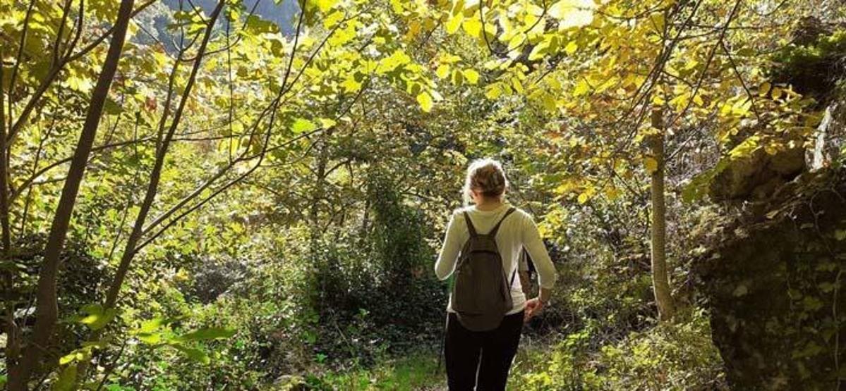 Aydının yanı başında bir doğa harikası: Koçak Kanyonu