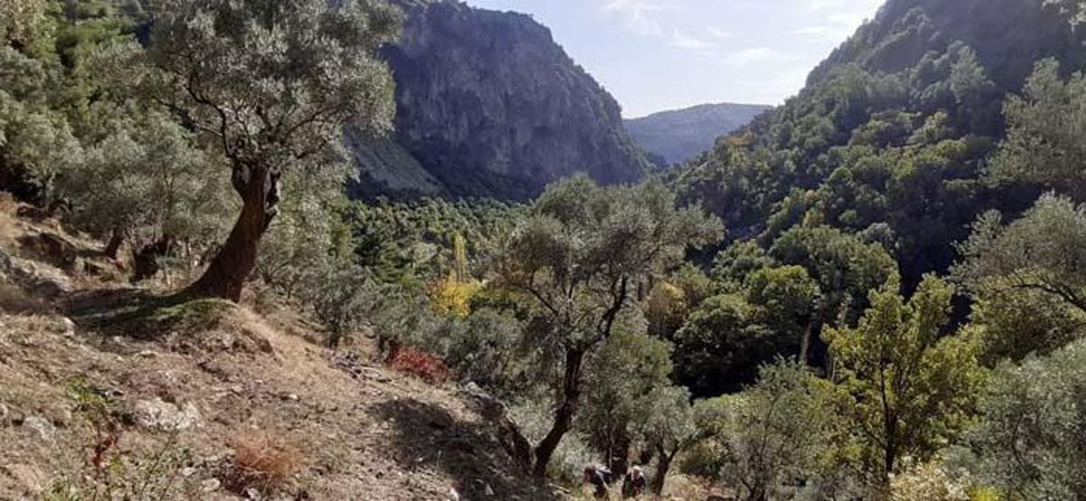 Aydının yanı başında bir doğa harikası: Koçak Kanyonu
