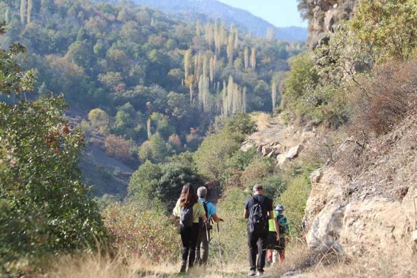 Aydının yanı başında bir doğa harikası: Koçak Kanyonu