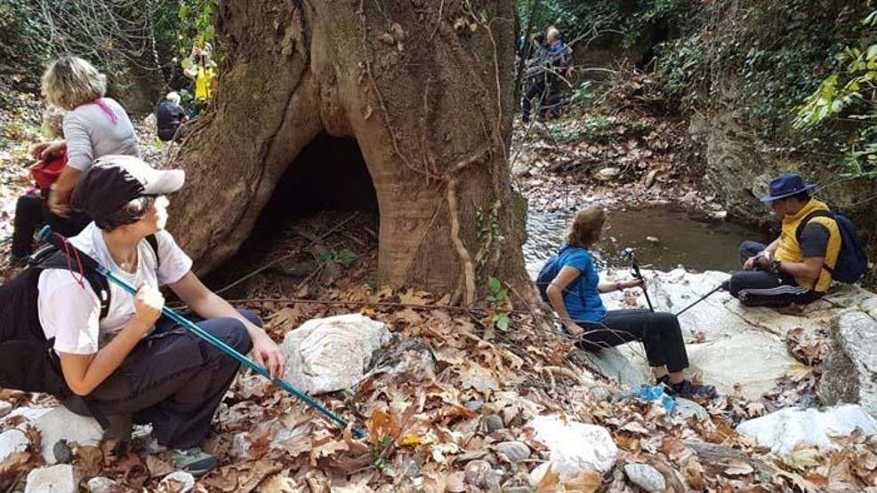Aydının yanı başında bir doğa harikası: Koçak Kanyonu