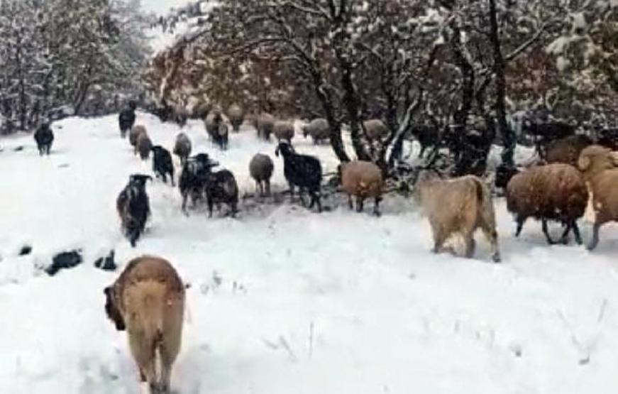 Tuncelide kar yağışı nedeniyle 25 köy yolu ulaşıma kapandı