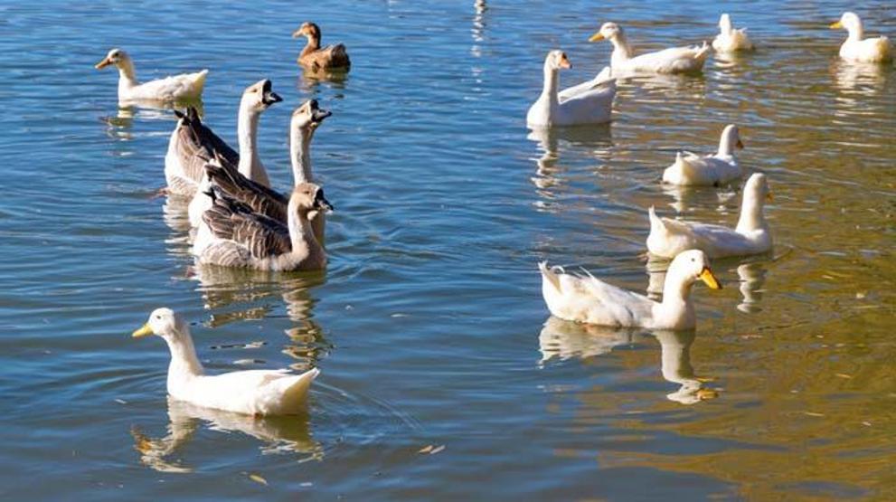 Gölbaşı Gölleri Tabiat Parkında sonbahar güzelliği