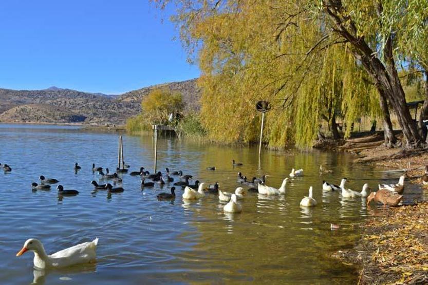 Gölbaşı Gölleri Tabiat Parkında sonbahar güzelliği