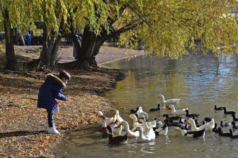 Gölbaşı Gölleri Tabiat Parkında sonbahar güzelliği