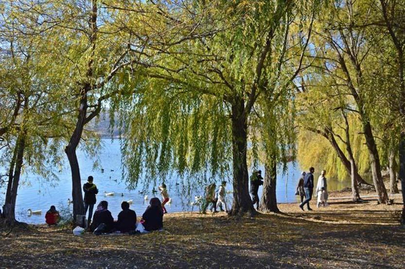 Gölbaşı Gölleri Tabiat Parkında sonbahar güzelliği
