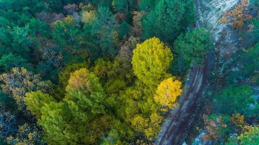 Havadan görüntülendi Sındırgı sonbahar güzelliği ile göz kamaştırıyor