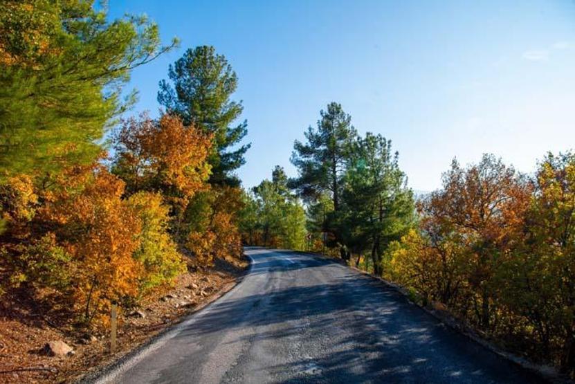 Havadan görüntülendi Sındırgı sonbahar güzelliği ile göz kamaştırıyor