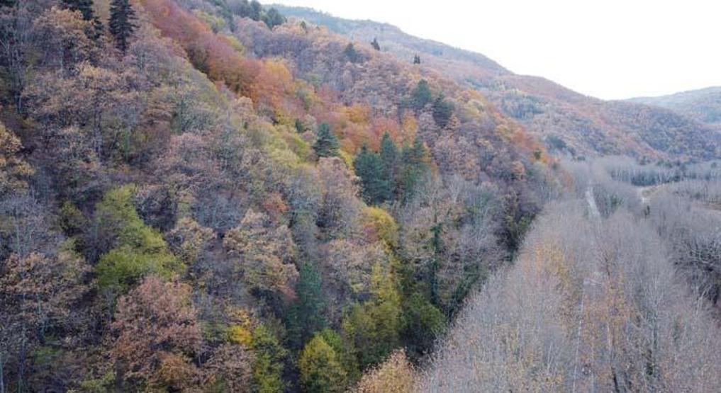 Doğa harikası Ormanları, gölleri ve tabiat parklarıyla adeta görsel şölen sunuyor