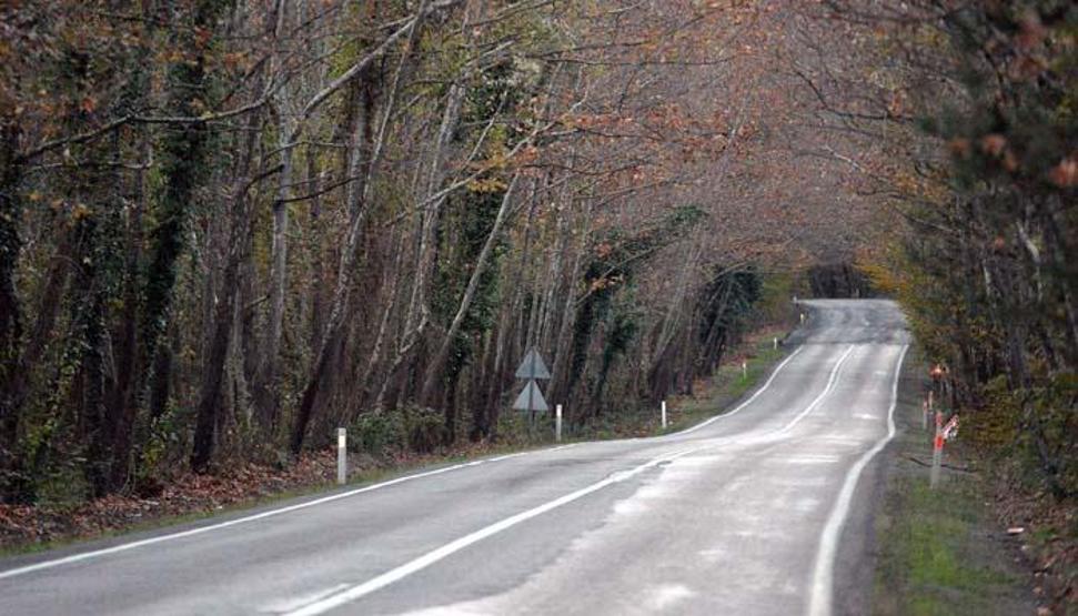 Doğa harikası Ormanları, gölleri ve tabiat parklarıyla adeta görsel şölen sunuyor