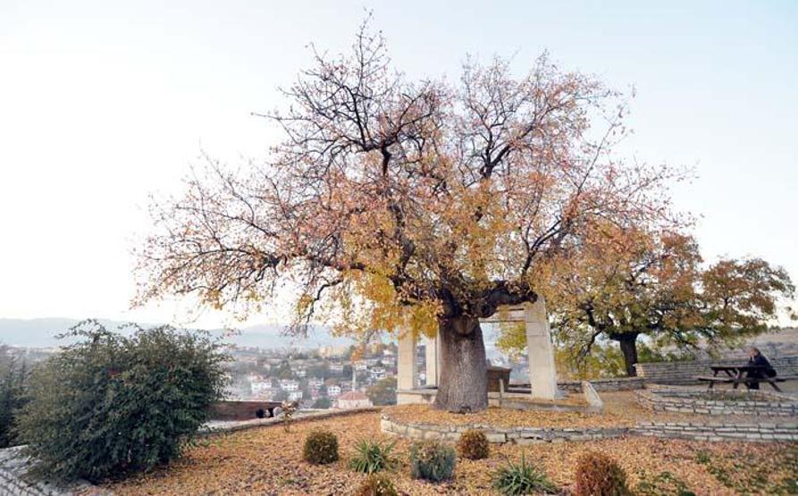 Doğa harikası Ormanları, gölleri ve tabiat parklarıyla adeta görsel şölen sunuyor