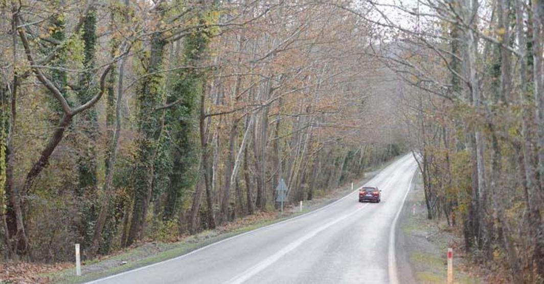 Doğa harikası Ormanları, gölleri ve tabiat parklarıyla adeta görsel şölen sunuyor