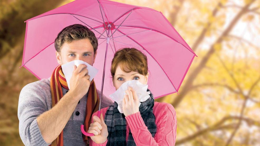 Gripten kış boyu korunmanın yöntemi Ekim - kasım ayında...