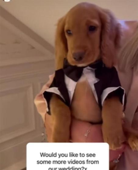 Michelle Mone düğününde köpeğine bile smokin giydirdi