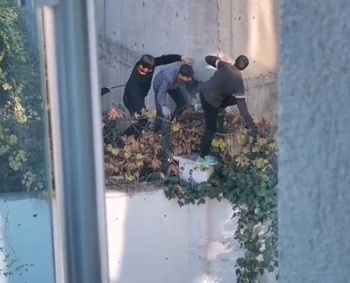 Kısıtlamayı delen çocuklar siren sesini duyunca saklandı