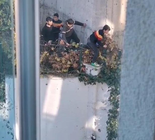 Kısıtlamayı delen çocuklar siren sesini duyunca saklandı