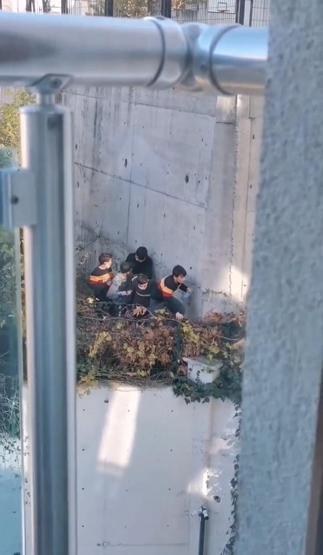 Kısıtlamayı delen çocuklar siren sesini duyunca saklandı