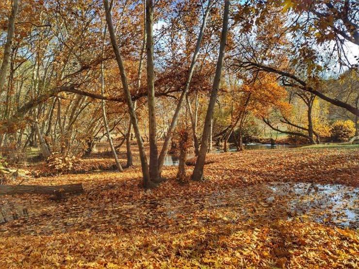 Doğal güzelliği ile fotoğraf tutkunlarının gözde mekanı oldu