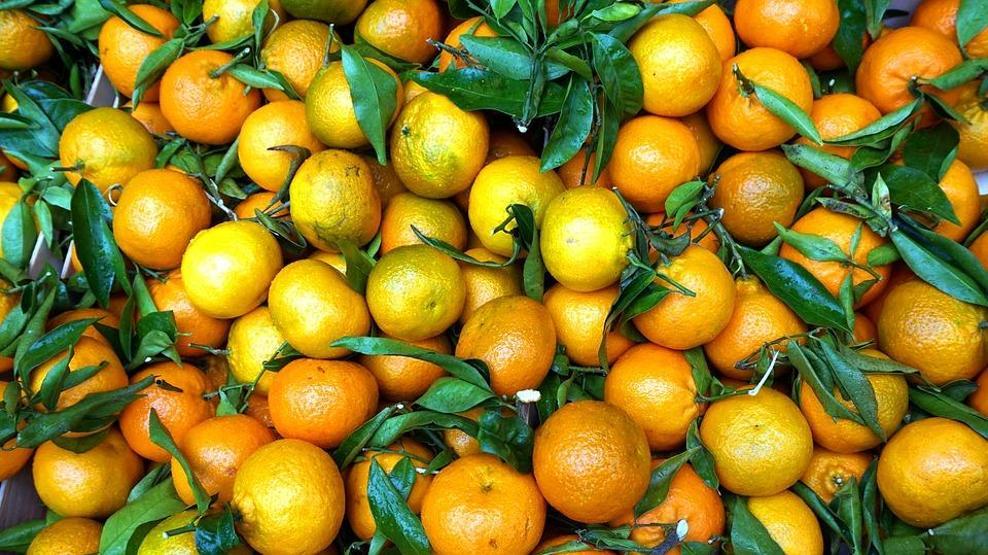 Vücudu tepeden tırnağa yeniliyor Kışın hastalanmamak için bol bol tüketin