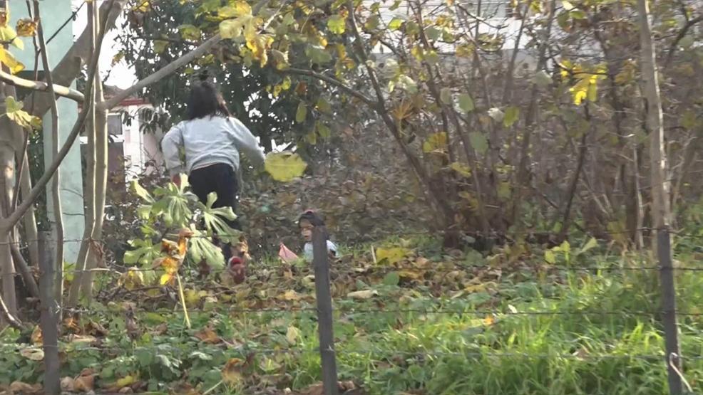 Oyun oynayan çocuklar polisi görünce kaçtı